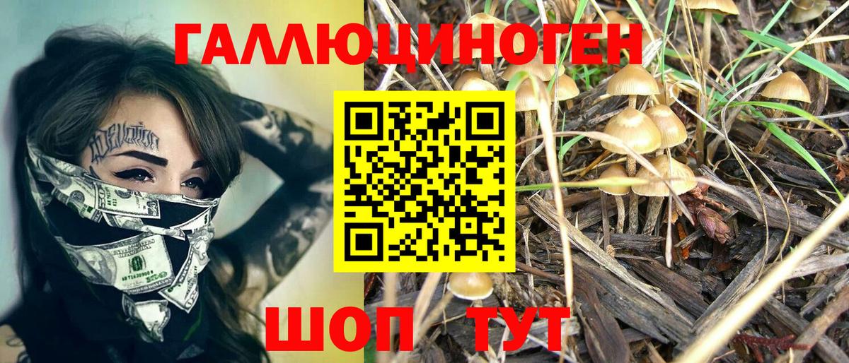 Саранск  Псилоцибиновые грибы мицелий  Вход с VPN 